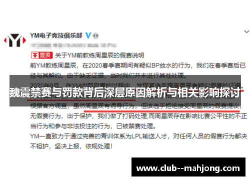 魏震禁赛与罚款背后深层原因解析与相关影响探讨